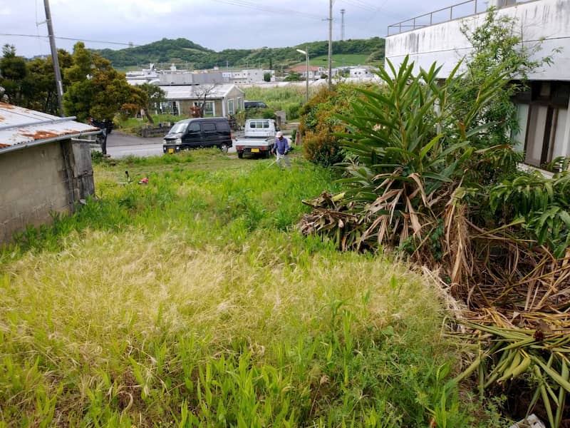 ほとんど草刈りをされていない民家の隣の畑