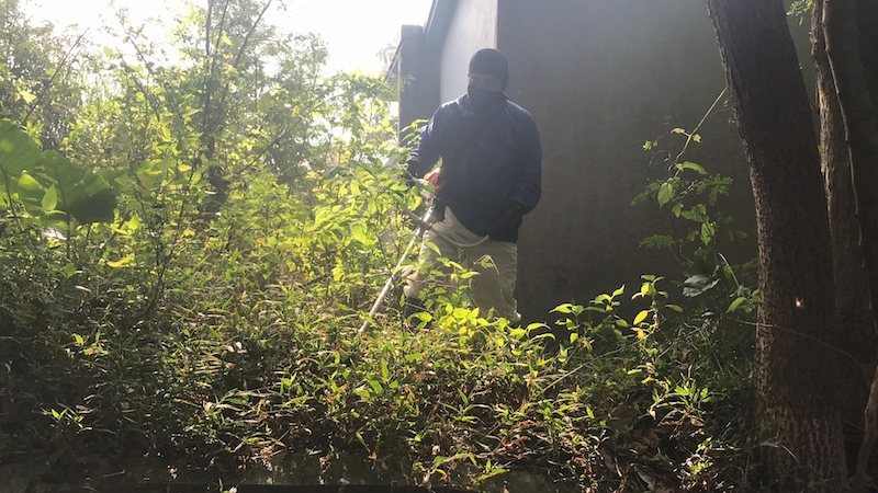 沖縄のお墓で草刈りをしている様子