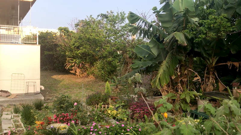 アパートの後ろの方の畑に草が生い茂っていて、草刈りをした後の様子