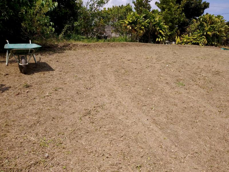 まったく草刈りをされていない畑の草を刈った後の様子