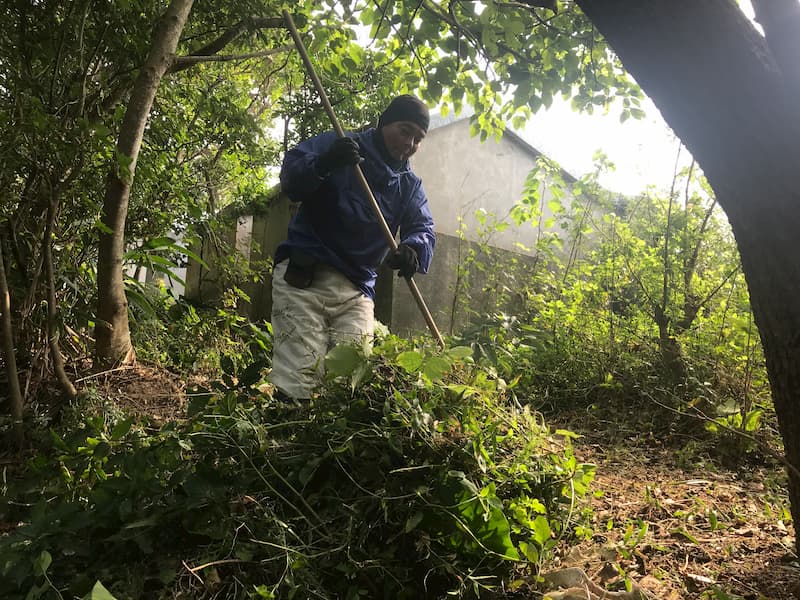 沖縄のお墓での草刈りで草集めをしている様子