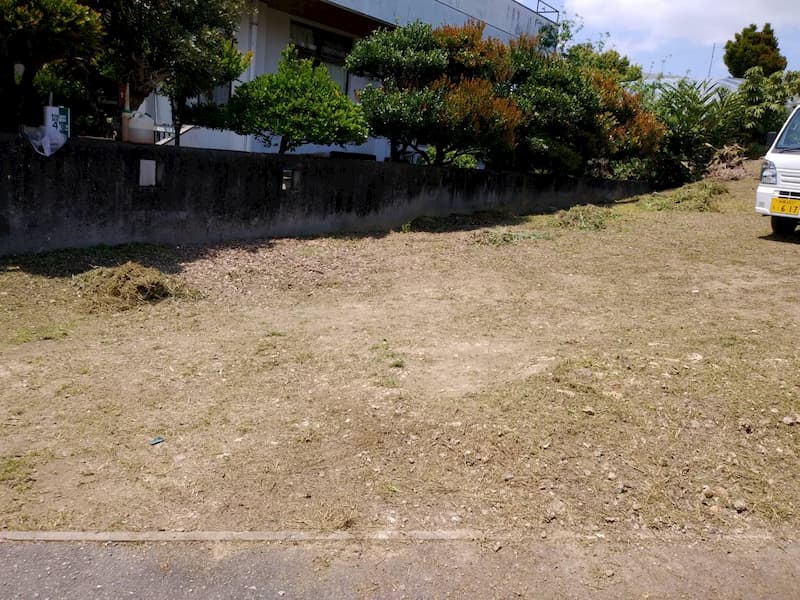 草刈りをされていない民家の畑の草を刈った後の様子