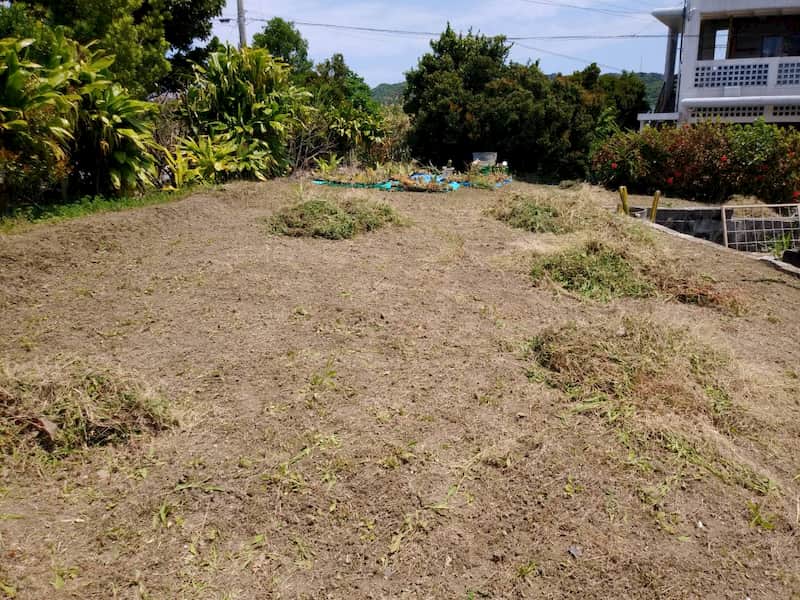 まったく草刈りをされていない畑の草を刈った後に集めている様子