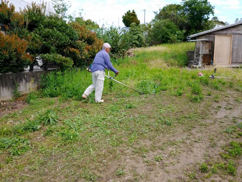 まったく草刈りをされていない畑の草を刈っている様子
