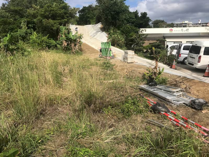 沖縄の草が生い茂っている畑の様子