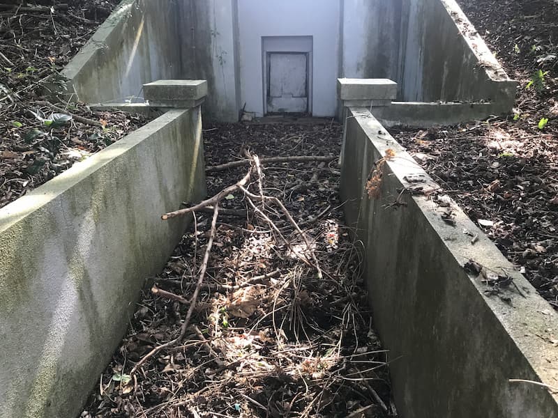 枯れ木や落ち葉が積もっている沖縄のお墓