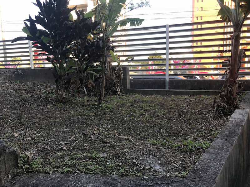 除草剤が必要ないぐらい草が生えていた沖縄のお墓の清掃後の様子