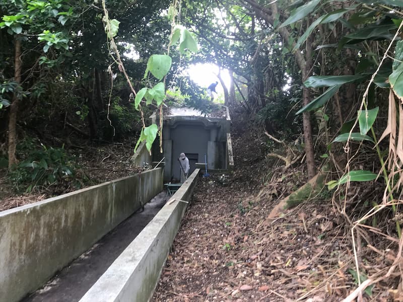 枯れ木や落ち葉が積もっている沖縄のお墓を清掃して終わりそうな様子