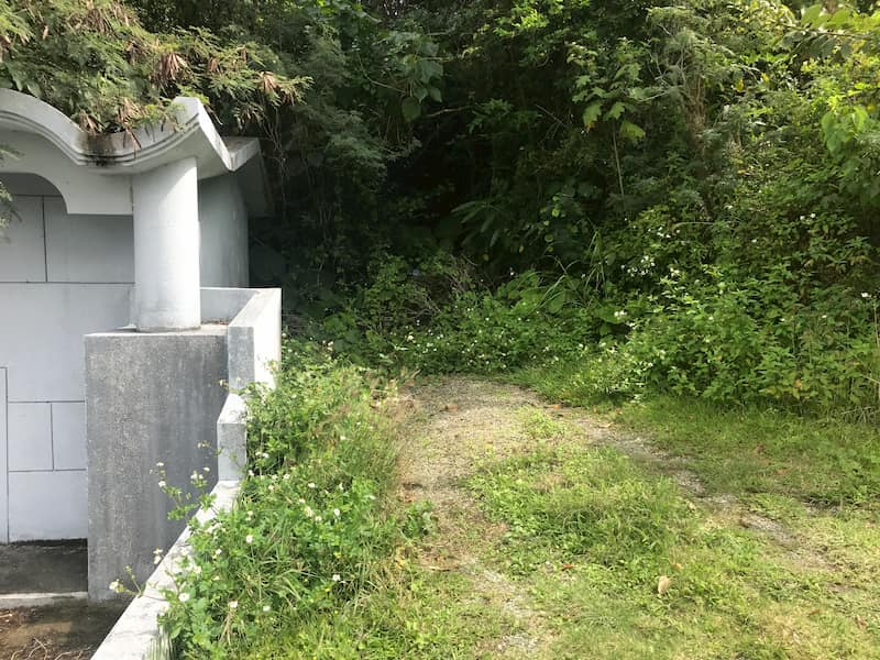 後ろに木々が生い茂る沖縄のお墓の右側
