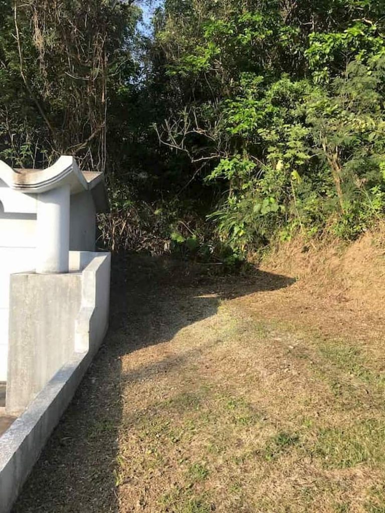 後ろに木々や草が生い茂る沖縄のお墓の右側の清掃後