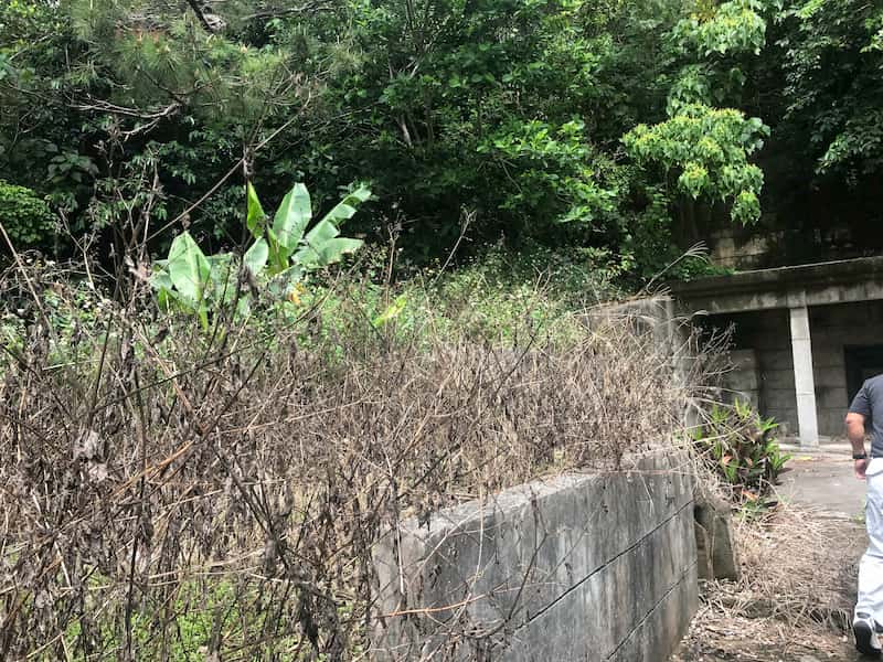 除草剤を使って以前清掃された沖縄のお墓の左側