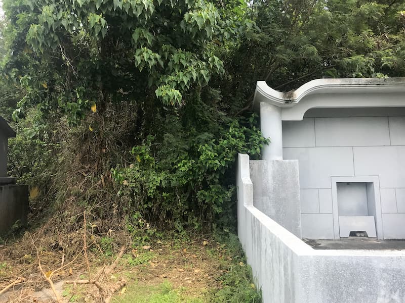 後ろに木々が生い茂る沖縄のお墓の左側