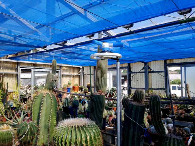 スプリンクラー設置時に元栓を探せずに、かっぱを着て濡れながら作業を進めましたが、綺麗に設置完了致しました。