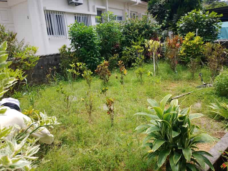 沖縄市松本の草刈り１