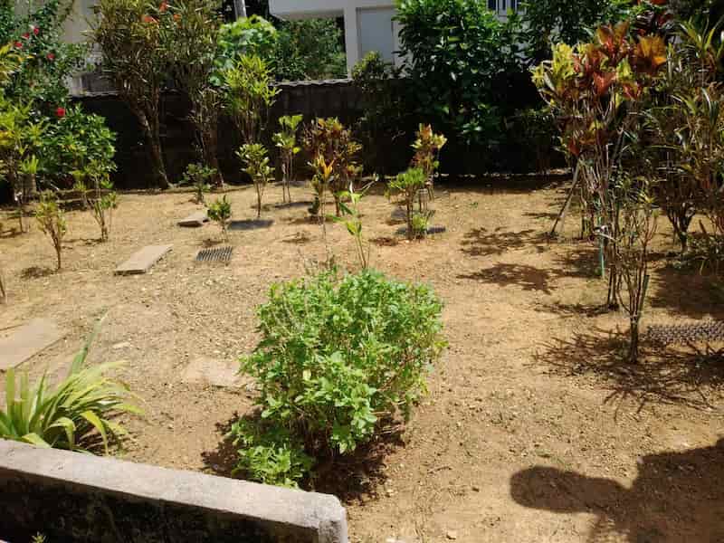 沖縄市松本での草刈り２